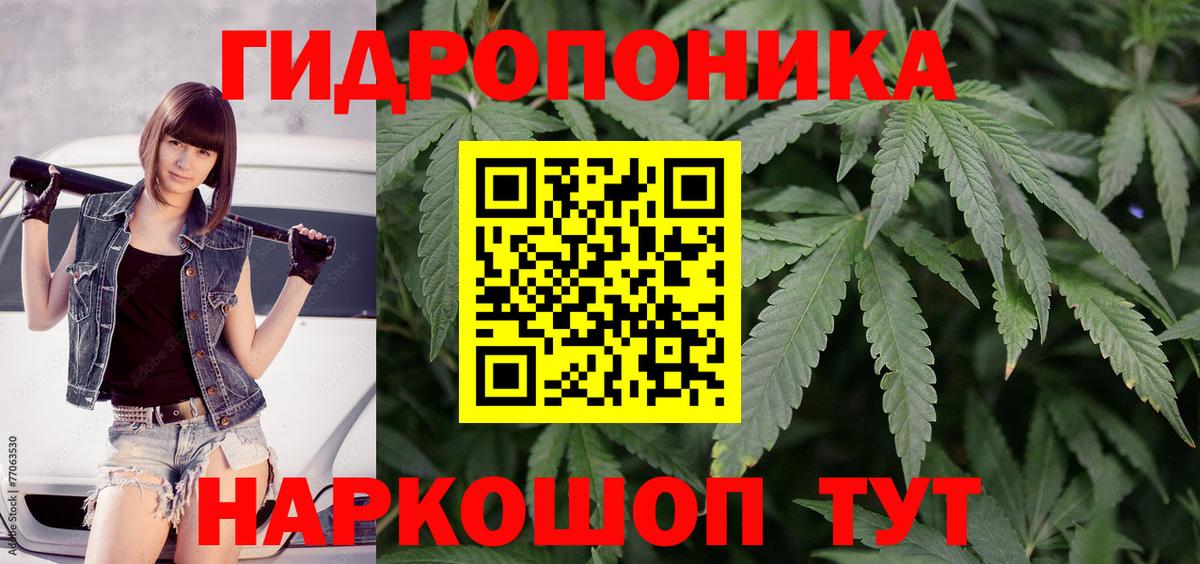 Бошки Шишки планчик Видное
